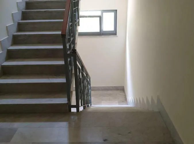 Antonio * 特罗佩阿